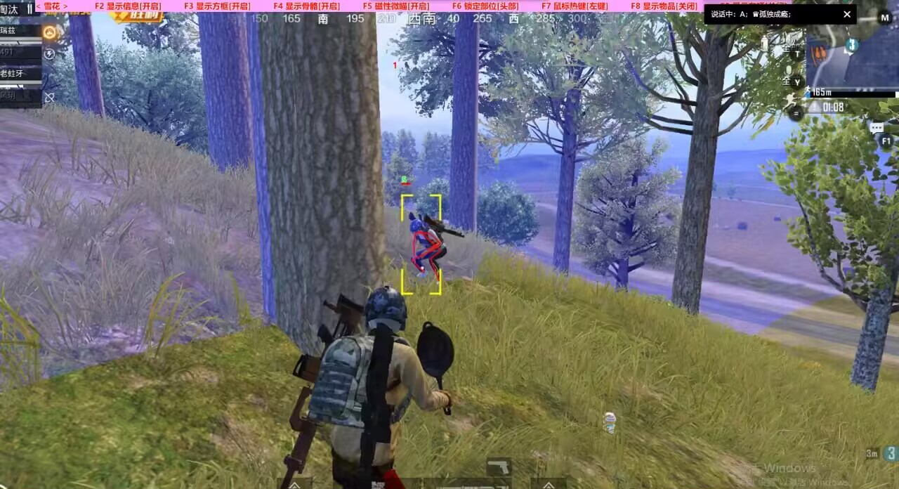 和平精英【初夏内核】辅助