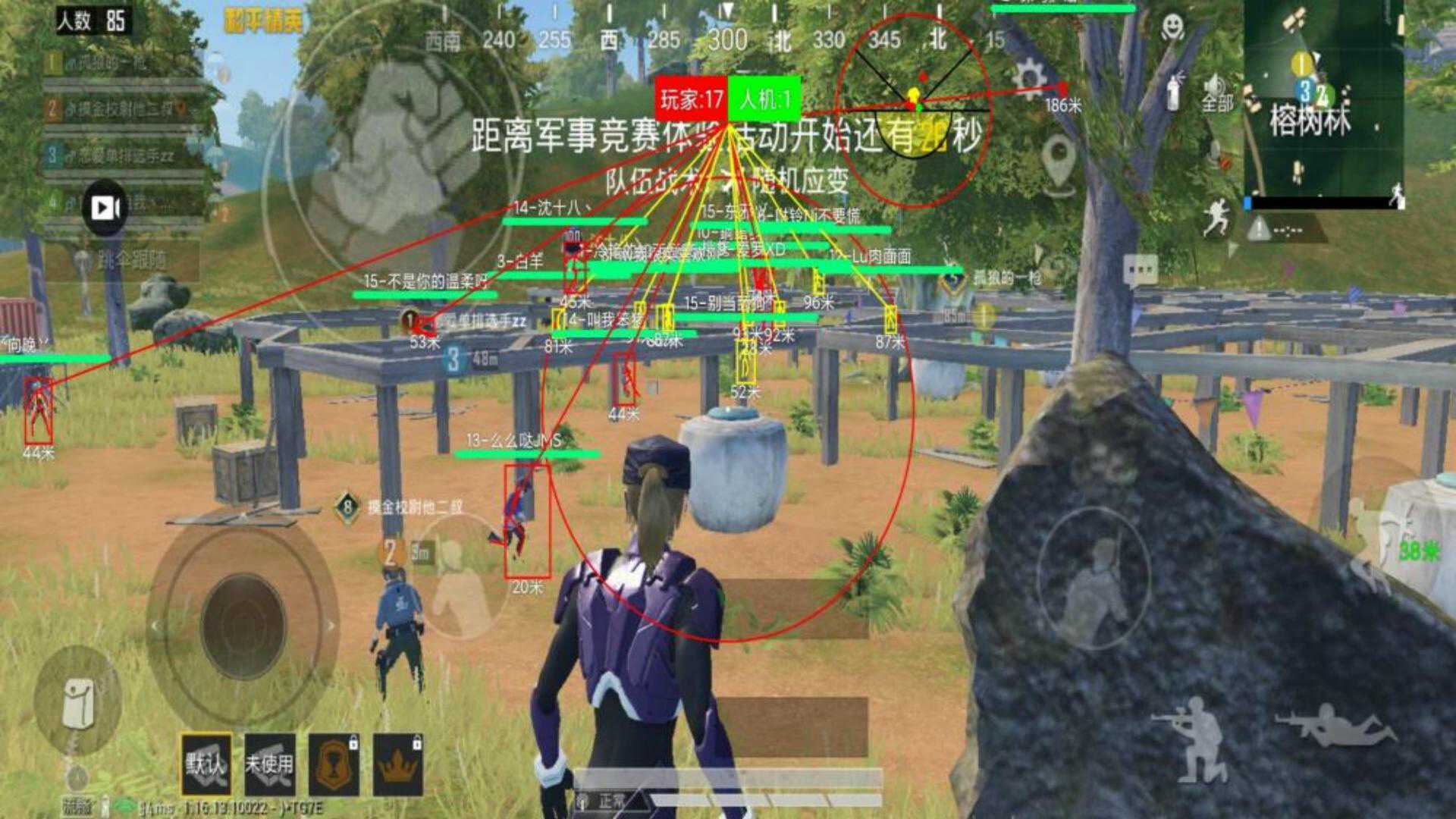 和平精英辅助【神女】